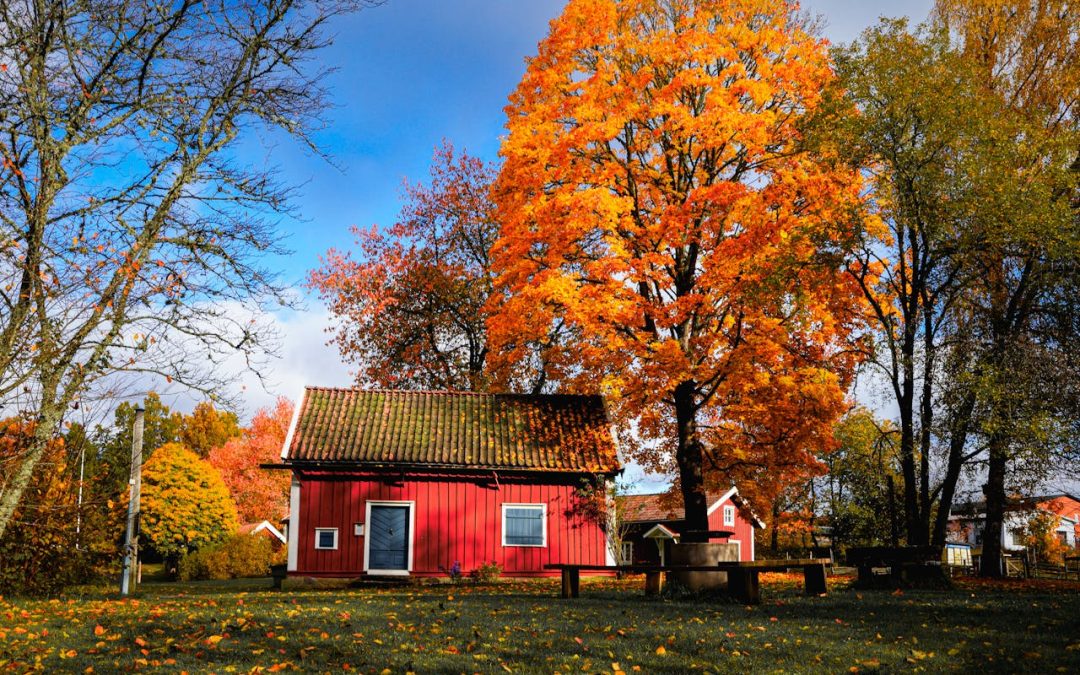Vanliga misstag vid dränering och hur du undviker dem